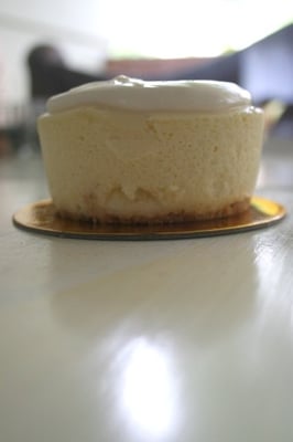 Elephants Delicatessen by null