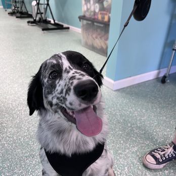 Salty Paws Ocala - Pet Stores Near Me - Belleview, Florida Salty Paws Ocala - Pet Stores Near Me - Belleview, Florida
