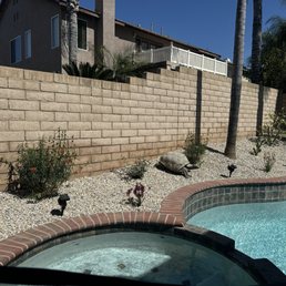 New pool landscaping