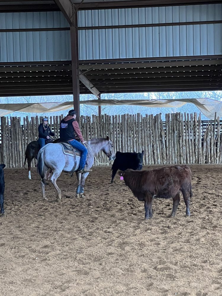 RUCKUS PERFORMANCE EQUINE Updated August 2024 11253 Owens Chapel Rd