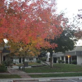 Michael K. Lloyd, M.D - 460 Greenfield Ste# 3 Hanford CA 93230 - Family Practice Near Me - Hanford, California