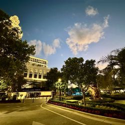 The Plaza Coral Gables - The Plaza Coral Gables