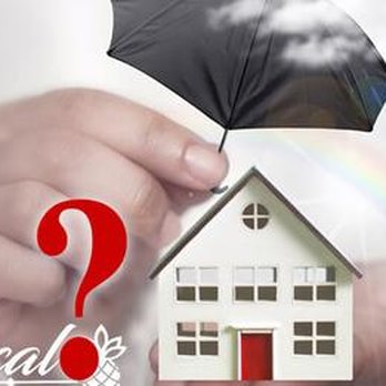 Tropical Tradewinds - Call for a no charge claims review - Public Adjusters Near Me - Coral Springs, Florida Tropical Tradewinds - Call for a no charge claims review - Public Adjusters Near Me - Coral Springs, Florida