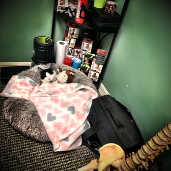Pura Vida Chiropractic - Chiropractors Near Me - Port Orange, Florida Pura Vida Chiropractic - Chiropractors Near Me - Port Orange, Florida
