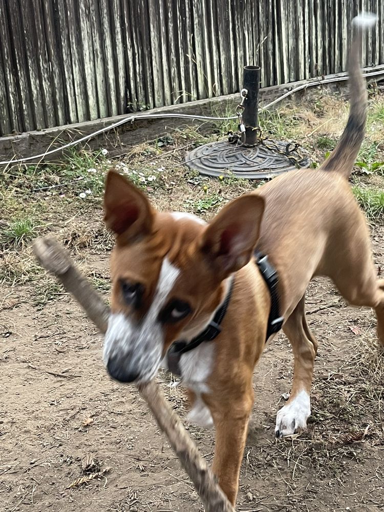 VIOS INSURANCE SERVICES Updated September 2024 11 Reviews 12916