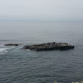 La Jolla Cove - Parks Near Me - La Jolla, California
