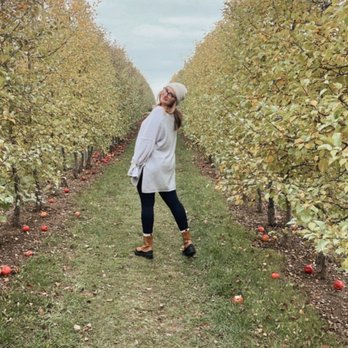 Peck And Bushel Fruit Company - in the grove - Pick Your Own Farms Near Me - Colgate, Wisconsin Peck And Bushel Fruit Company - in the grove - Pick Your Own Farms Near Me - Colgate, Wisconsin