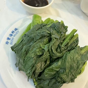 Ocean Palace - Dim Sum Near Me - Houston, Texas Ocean Palace - Dim Sum Near Me - Houston, Texas