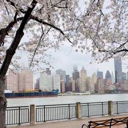 Roosevelt Island Tramway
