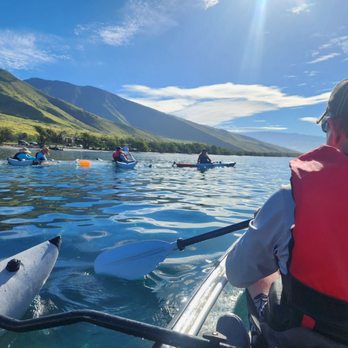Gabriel's Ohana - Perfect day! - Whale Watching Tours Near Me
