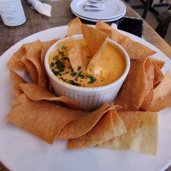 Gerstle's Clearwater - Buffalo chicken dip. - Bars Near Me - Clearwater Beach, Florida Gerstle's Clearwater - Buffalo chicken dip. - Bars Near Me - Clearwater Beach, Florida