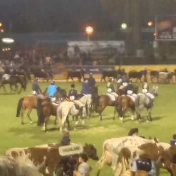 Royal Adelaide Show - Festivals Near Me - Wayville, SA Royal Adelaide Show - Festivals Near Me - Wayville, SA
