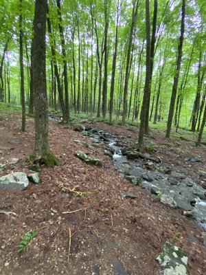 Wells State Park by null