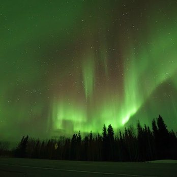 Arctic Night Tours - Tours Near Me