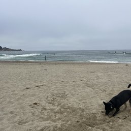 Mr. Baby loved digging in the sand Mr. Baby loved digging in the sand