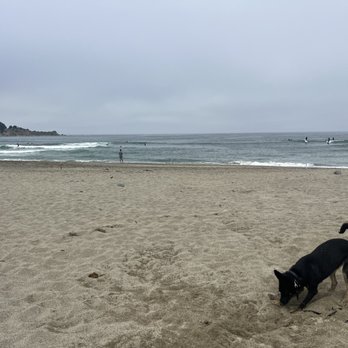 Pacifica State Beach - Mr. Baby loved digging in the sand - Beaches Near Me - Pacifica, California Pacifica State Beach - Mr. Baby loved digging in the sand - Beaches Near Me - Pacifica, California