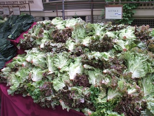 Portland Farmers Market at PSU by null