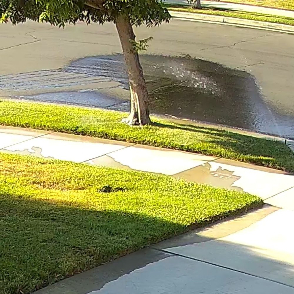 Ray Tree Services - Front Yard broken sprinkler heads. - Landscaping Near Me