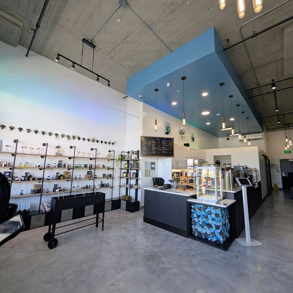Blue Drip - Interior of coffee shop. Love the vibes. - Coffee & Tea Near Me - Alameda, California Blue Drip - Interior of coffee shop. Love the vibes. - Coffee & Tea Near Me - Alameda, California