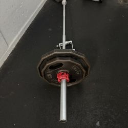 Body Zone Health & Fitness Club - Landmine rows (warmup before I begin my set)