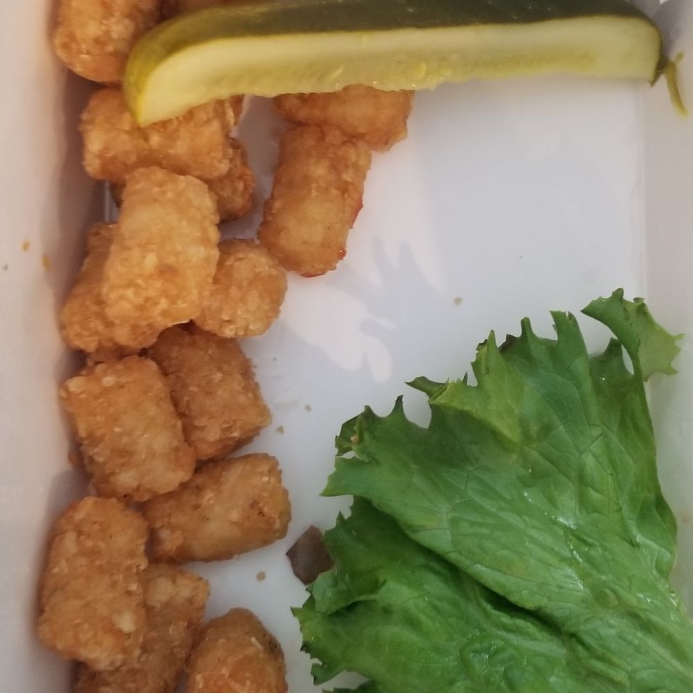 Brake Pad - The perfectly cooked Tater Tots I had for my side.  Worth It! - American Near Me - College Park, Georgia