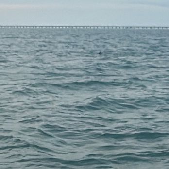 Marathon Mermaid Charters - Boat Tours Near Me - Marathon, Florida