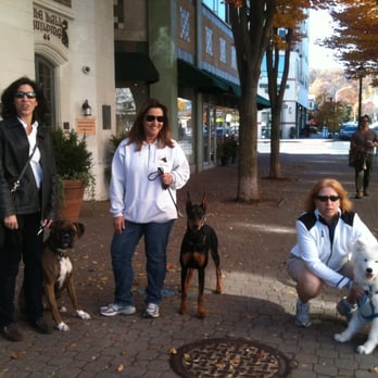 Patience Unlimited - Training at a Town Center - Pet Training Near Me - Tucson, Arizona Patience Unlimited - Training at a Town Center - Pet Training Near Me - Tucson, Arizona