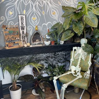 Pangaea Salon - Decor - Hair Salons Near Me - Denver, Colorado