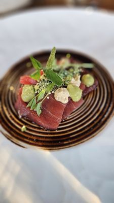 Earth at Hidden Pond by null