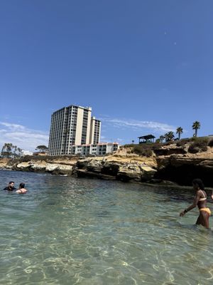 Children's Pool La Jolla by null