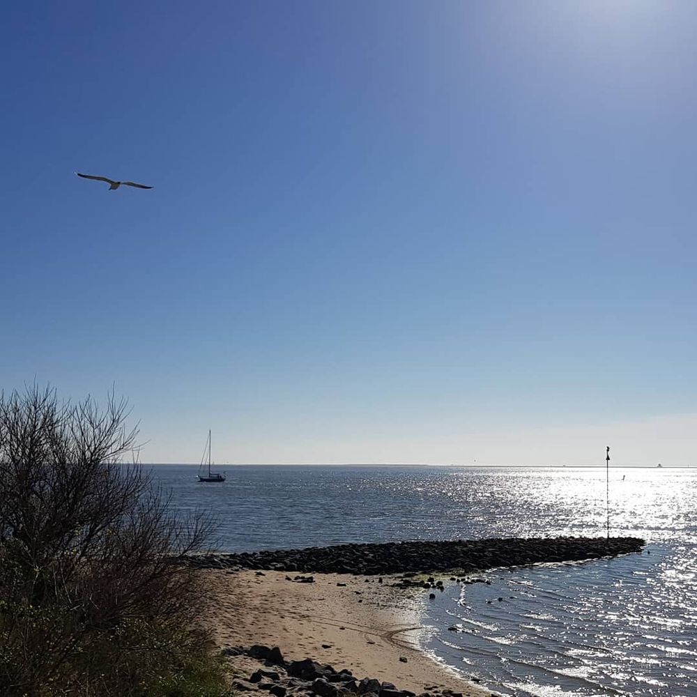Into The Great Wide Open - Festivals Near Me - Vlieland, FR