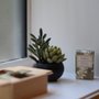Photo of Recipero Massage and Wellness