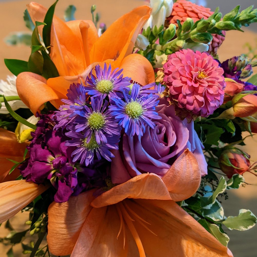 Harris Teeter Flowers Durham Nc Best Flower Site