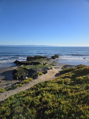 University of California, Santa Barbara by null