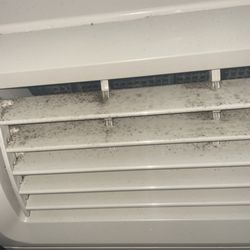 Blue Sky Inspections - Mold on air conditioner