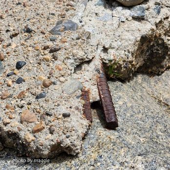 Jackson Road Trail - Jackson Road/Tenaya Loop Trail, Madera County: 2026 May 20 - Hiking Near Me - Fish Camp, California Jackson Road Trail - Jackson Road/Tenaya Loop Trail, Madera County: 2026 May 20 - Hiking Near Me - Fish Camp, California