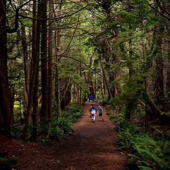 Cape Flattery - Trail - Hiking Near Me - Neah Bay, Washington