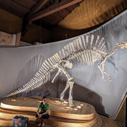 Musei Civici - Museo di Storia Naturale - June 20, 2023.