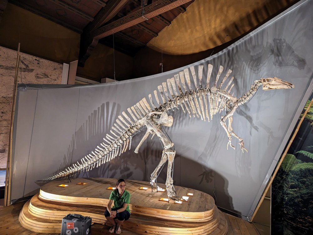 Musei Civici - Museo di Storia Naturale