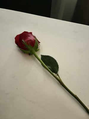 Encore Bistro Francais by null