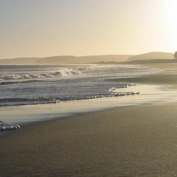 Limantour Beach - Beaches Near Me - Point Reyes Station, California