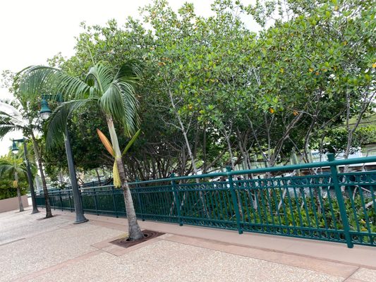 Harbourside Place by null