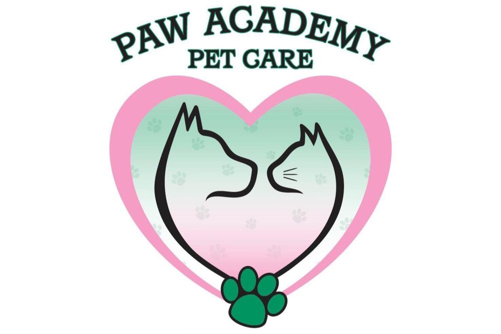 Paw Academy Pet Care Image