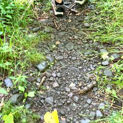 Catskill Mountain - He Ready