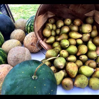 Taste NY Todd Hill - Produce at Farmers Market FRI 2-6 - Farmers Market Near Me - Poughkeepsie, New York Taste NY Todd Hill - Produce at Farmers Market FRI 2-6 - Farmers Market Near Me - Poughkeepsie, New York