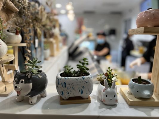 Hui Lau Shan 196 Stevens Creek Blvd Cupertino Ca Dessert Preparations Mapquest