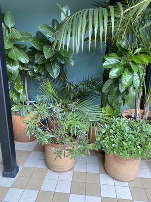 Palihotel Hollywood by null