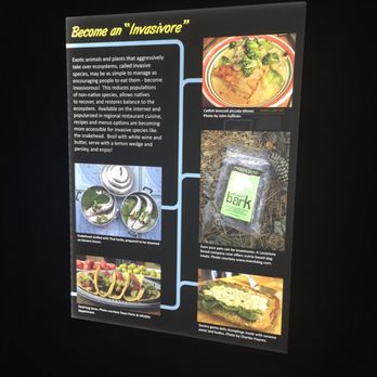 Calvert Marine Museum - Gross foods made from invasive species. - Museums Near Me - Solomons, Maryland