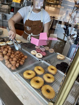 DODO BIRD Donuts by null