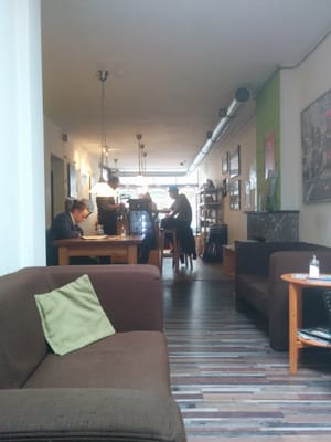 Black & Bloom by null